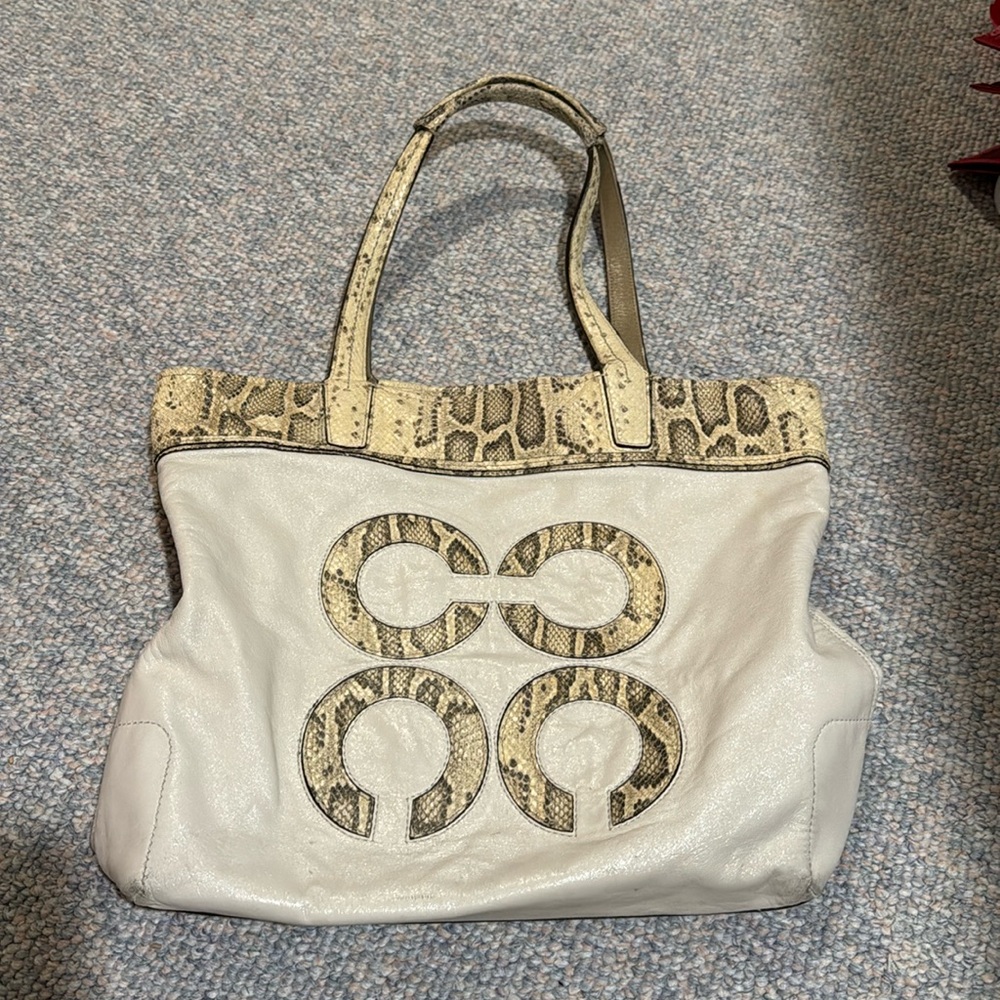 Coach Bag